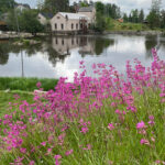 Strømsfoss Mølle9